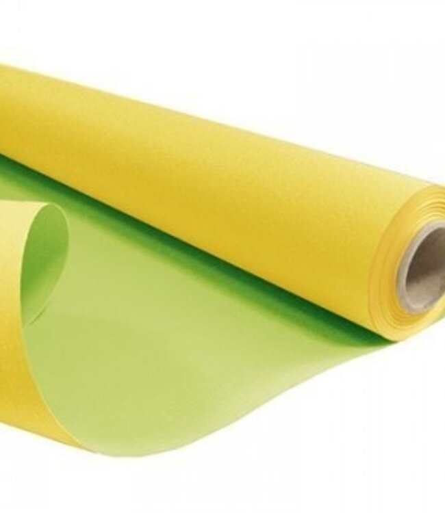 Rol geel groen papier Duo | Breedte 80 centimeter | Lengte 40 meter | 60 gram/m² | Per rol te bestellen