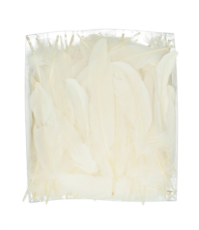 Plumes d'oie blanches | Poids 45 grammes | Commande par paquet