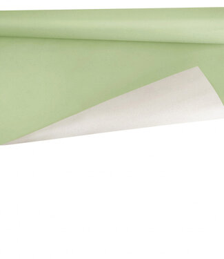 4A Rol lichtgroen papier Biet | Breedte 80 centimeter | Lengte 40 meter | 80 gram/m² | Per stuk