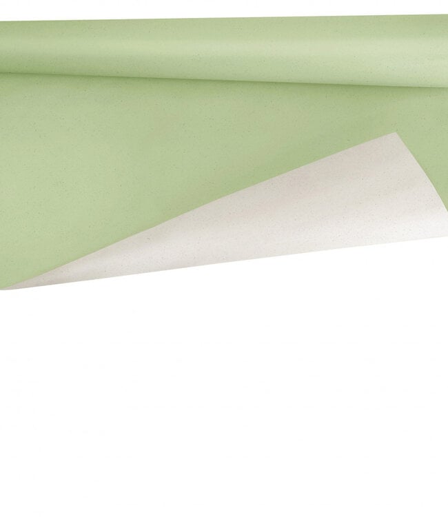 Rol lichtgroen papier Biet | Breedte 80 centimeter | Lengte 40 meter | 80 gram/m² | Per rol te bestellen