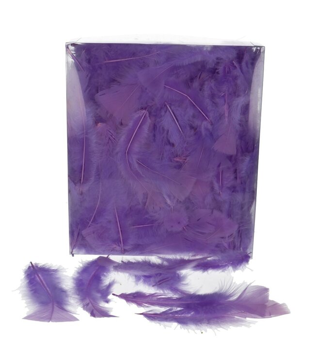 Purple turkey feathers | Weight 45 grams | Per pack to order