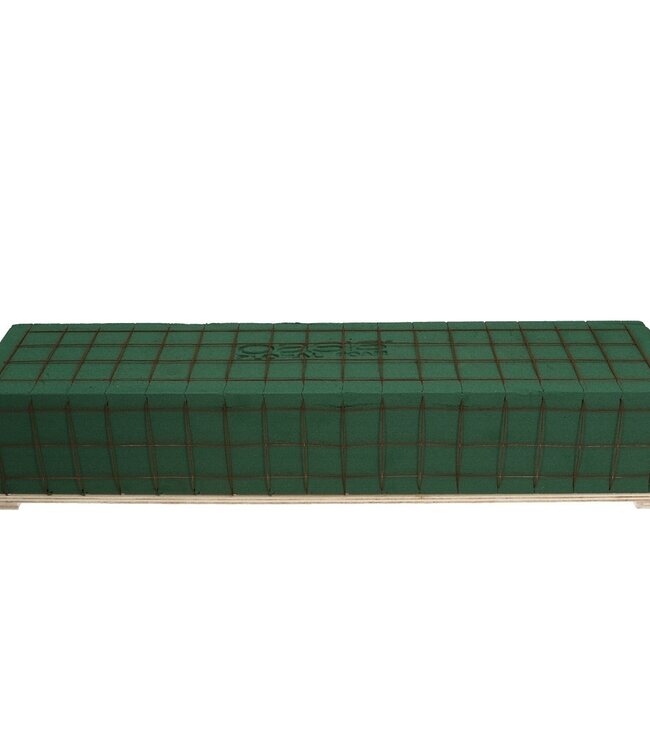 Green Oasis biodegradable floral foam Bioline Raquette | Size 51 x 12 x 8 centimetres | Ordered per 4 pieces