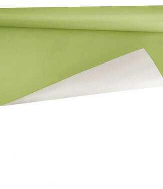 4A Rol lichtgroen papier Biet | Breedte 80 centimeter | Lengte 40 meter | 80 gram/m² | Per stuk