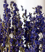 Larkspur bleu séché | Delphinium fleurs séchées | Longueur 70 centimètres | Commande par bouquet