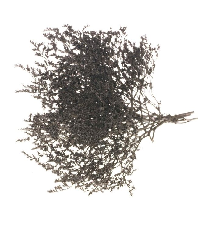 Black dried sea lavender | Statice tatarica dried flowers | Weight 1 kilogram | Order per kilogram