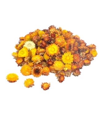 LDD Orange Straw Flowers Helichrysum heads | Weight 2 kilograms | Per piece