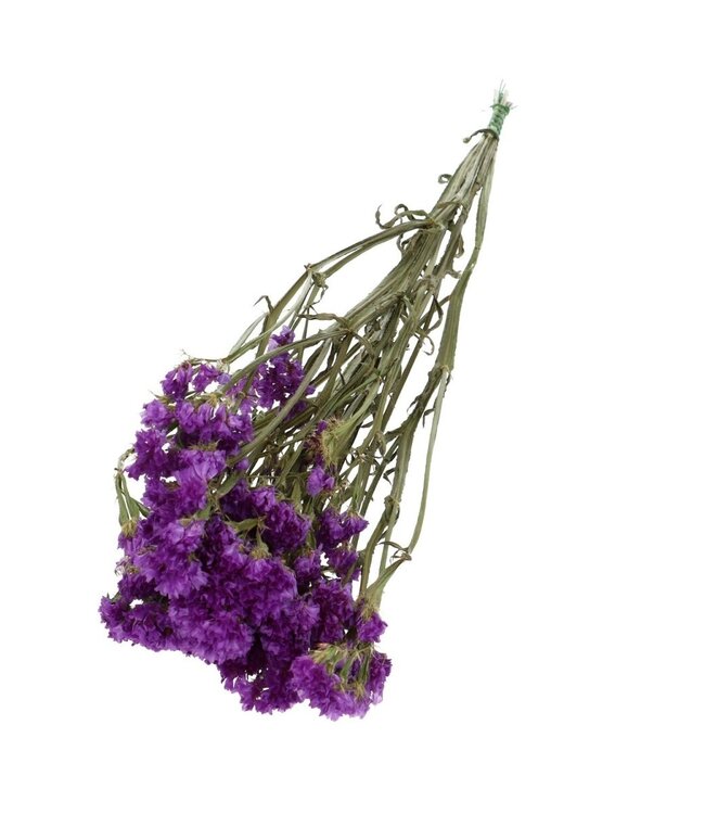 Purple dried Limonium | Statice dried flowers | Length 70 centimetres | Order per bunch