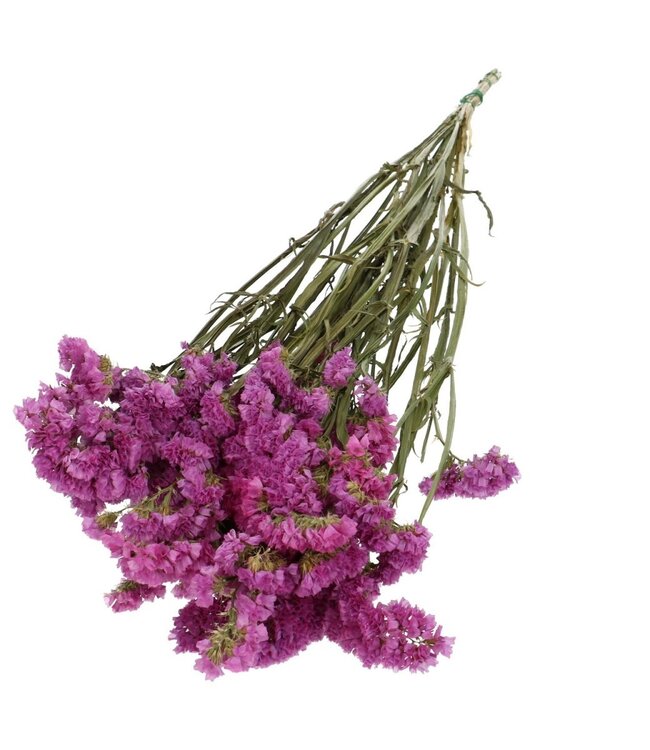 Donker roze gedroogde Limonium | Statice droogbloemen | Lengte 70 centimeter | Per bos te bestellen