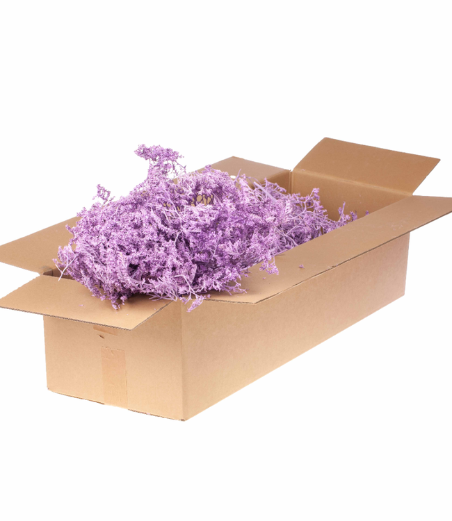 Matt lilac-coloured dried sea lavender | Statice tatarica dried flowers | Weight 500 g | Order per pack