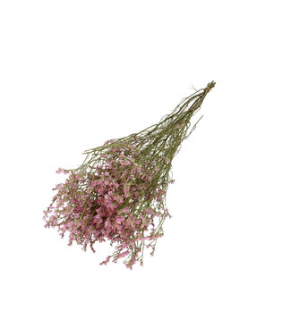 4A Lichtroze gedroogde Limonium diamond | Statice droogbloemen | Lengte 70 centimeter | Per bos