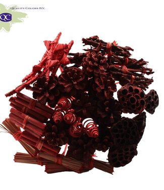 QC Red artistic bouquet | 40 leaflets on stick | Length 50 centimetres | Each