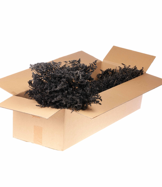 LDD Black dried sea lavender | Statice tatarica dried flowers | Weight 1 kilogram | Per pack