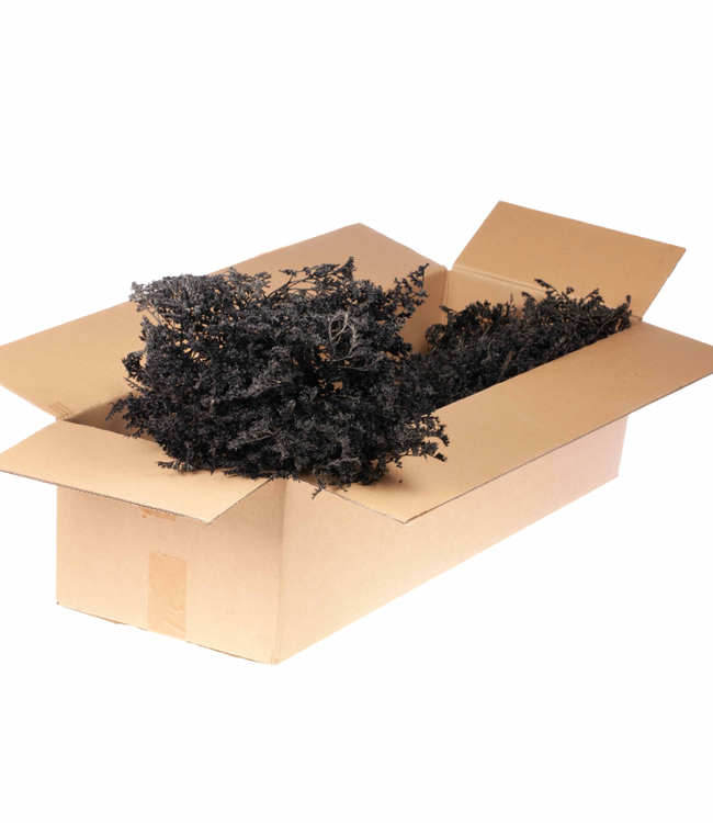 Black dried sea lavender | Statice tatarica dried flowers | Weight 1 kilogram | Order per pack