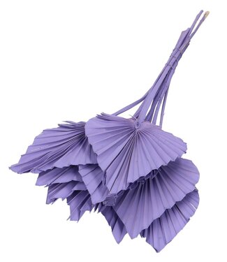 4A Lilac-coloured dried Palm leaf | Palm Spear dried flowers | Length 50 centimetres | 10 pieces per bunch