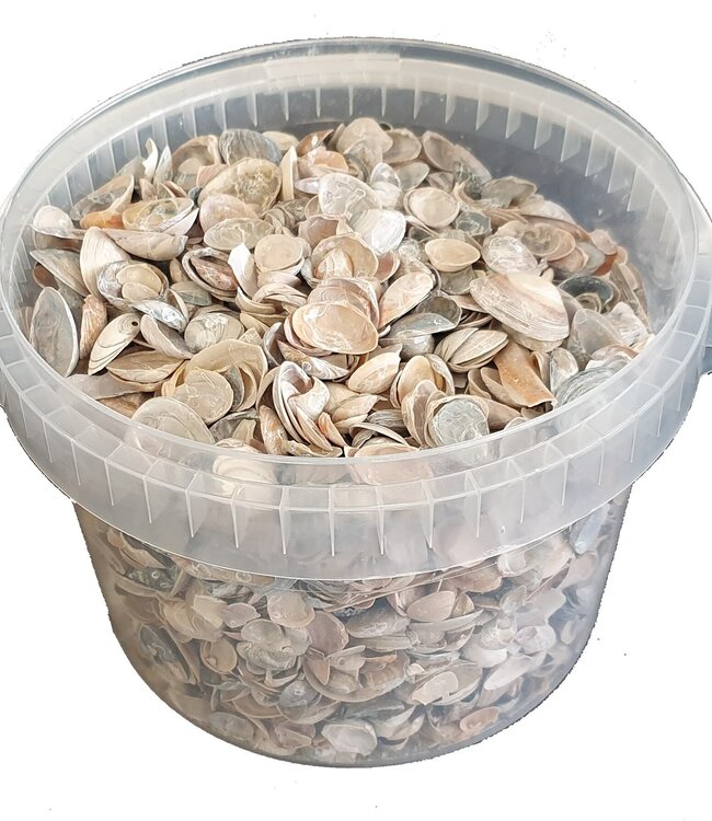 Shells north sea 3 ltr Frosted White ( x 1 )