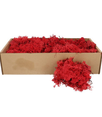 4A Red dried reindeer moss | Weight 400-500 g | Per pack