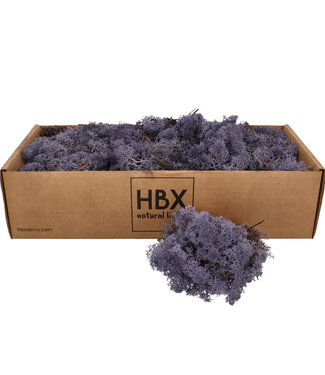 4A Lilac-coloured dried reindeer moss | Weight 400-500 g | Per pack