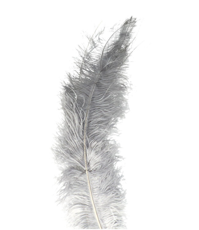 Grey ostrich feathers | Length 55 centimetres | Order per 5 feathers