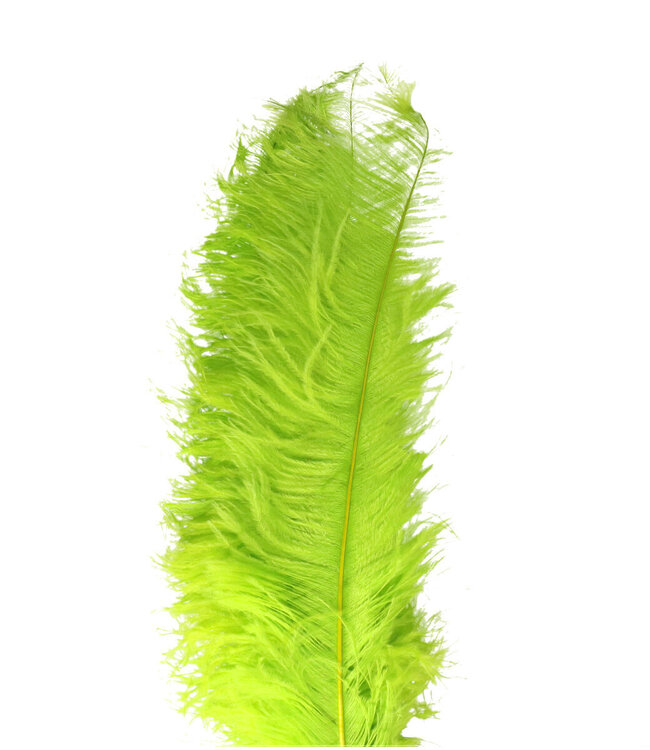 Green ostrich feathers | Length 55 centimetres | Order per 5 feathers