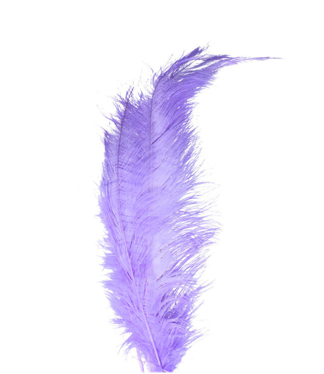 Plumes d'autruche violettes | Longueur 55 centimètres | Commande par 5 plumes