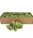 Mousse de renne séchée vert pomme | Poids 400-500 g | Commande par paquet