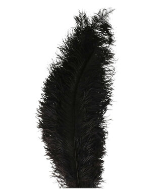 4A Feathers ostrich black | Length 55 centimetres | Per 5 pieces