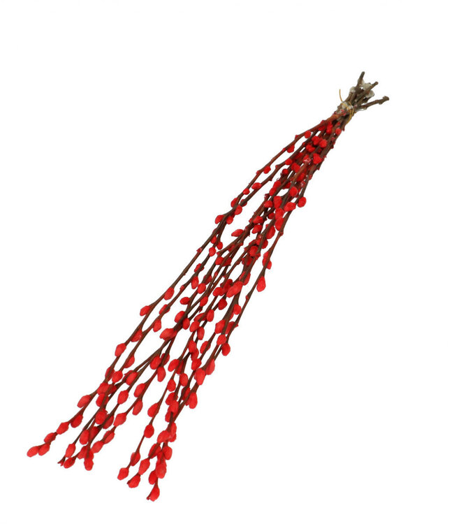 Red dried Willow Catkins | Length 70 centimetres | Ordered per 10 pieces