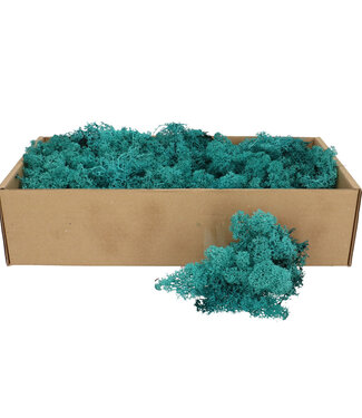 4A Blue-green preserved reindeer moss | Weight 400-500 g | Per pack