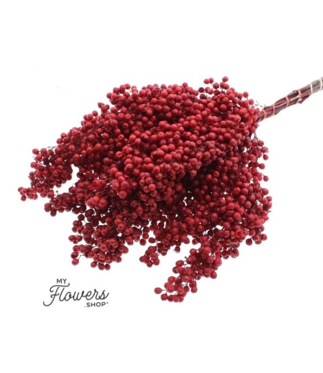 Dried Red Pepper Berries per Bundle | 35cm