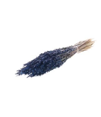 LDD Haver (avena) dark blue | Per 25 stuks