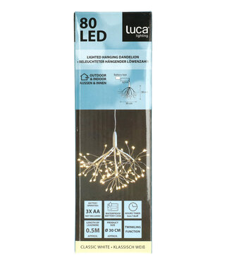 4A Kerst LED tak hangend 80L | Per stuk