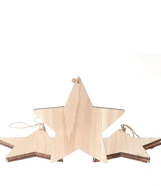 4A Kerst Deco hanger ster 25cm x5 | Per stuk