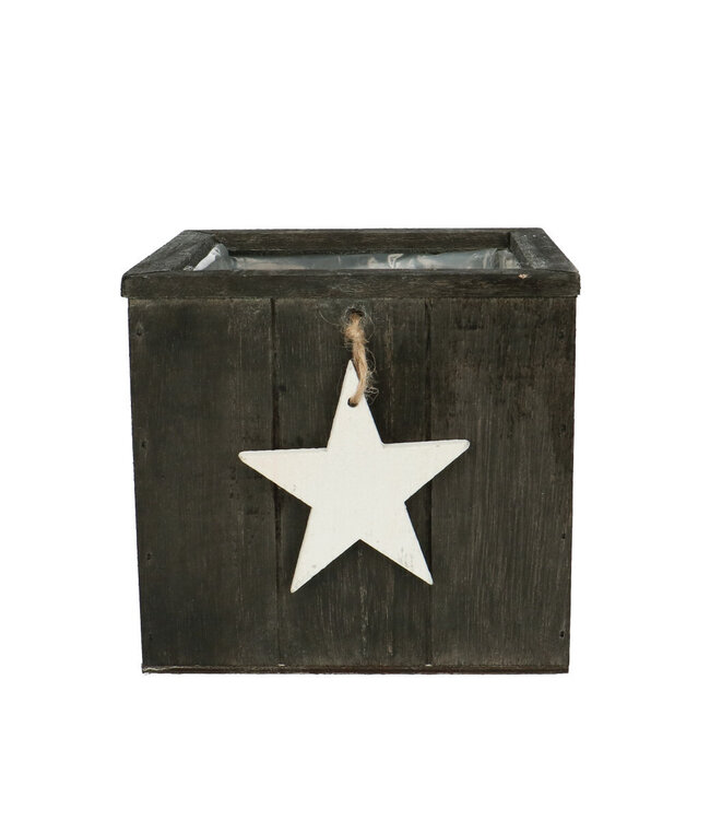 Kerst Hout pot ster d15*14cm ( x 10 )