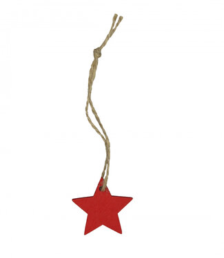 4A Kerst Deco hanger ster d03.5cm x36 | Per stuk