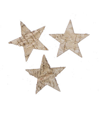 4A Kerst naturel Deco Berk ster 7cm x24 ( x 1 )