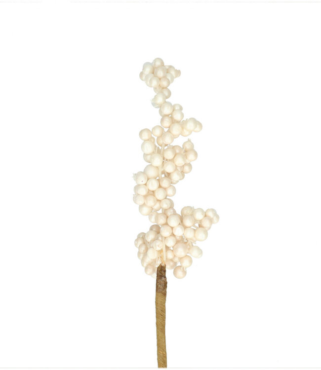 Kerst bijsteker 50cm Berry 6*12cm ( x 24 )