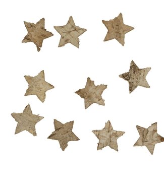 4A Kerst naturel Deco Berk ster 4.5cm x100 ( x 1 )