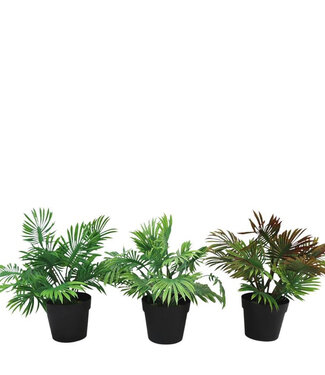 4A Kunstplanten Pot Palm | Diameter 30 centimeter |*26cm 3 ass. | Per 12 stuks