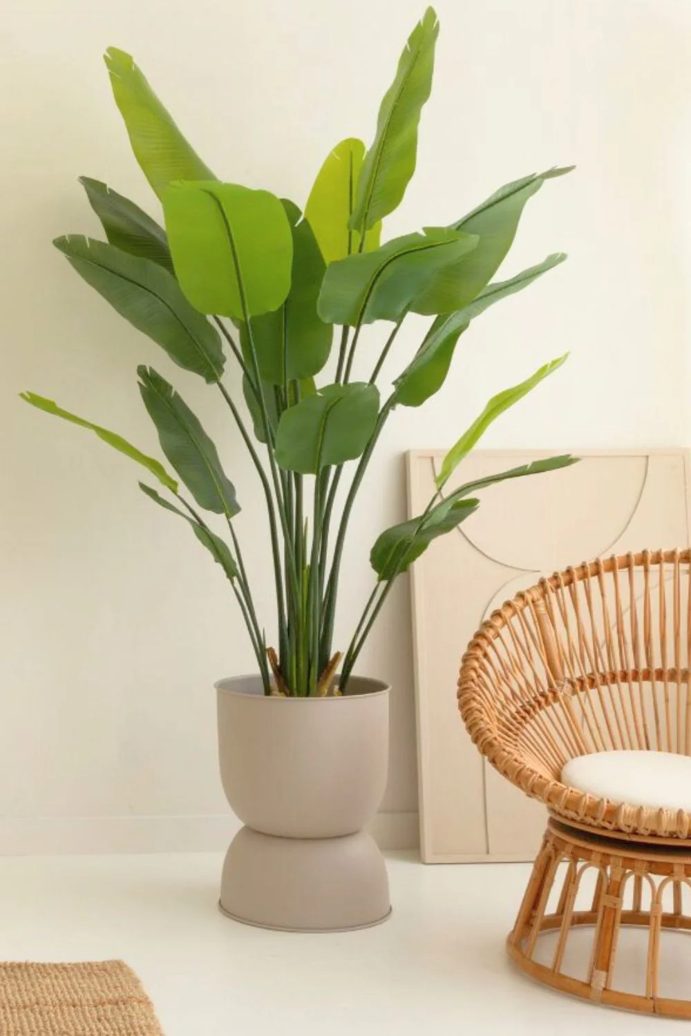 Buy artificial plants at MyFlowers.shop. Long lifespan, no maintenance.