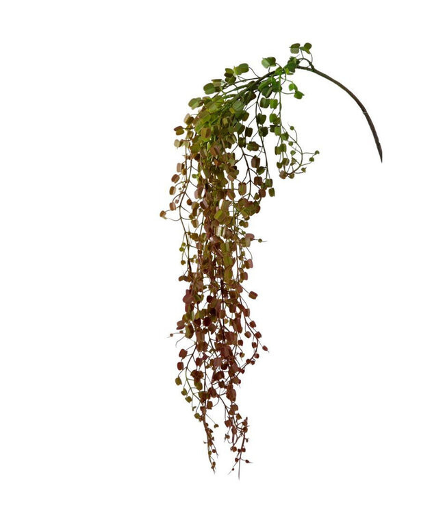 Kunstplanten Muehlenbeckia 82cm | Per stuk te bestellen