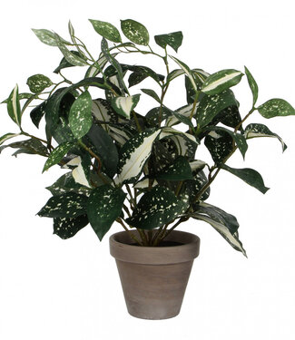 4A Kunstplanten Pot Cordyline d11/25*35cm ( x 6 )