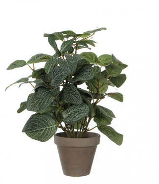 4A Kunstplanten Pot Pilea d11/25*35cm | Per 6 stuks