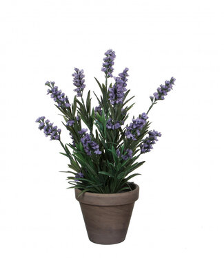 4A Kunstplanten Pot Lavendula ang.d11/20*33cm ( x 6 )