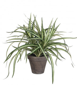 4A Kunstplanten Pot Dracaena | Diameter hals 40 centimeter bodem 11 centimeter | Hoogte 34 centimeter | Per 6 stuks