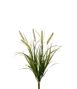 4A Kunstplanten Foxtail Grass Bush 58cm ( x 4 )