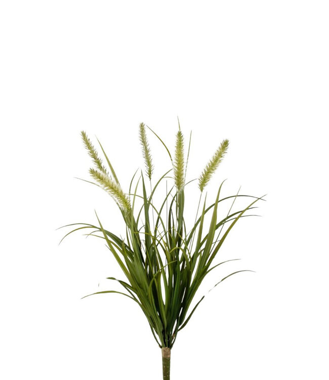 Kunstplanten Foxtail Grass Bush 58cm | Per 4 stuks te bestellen