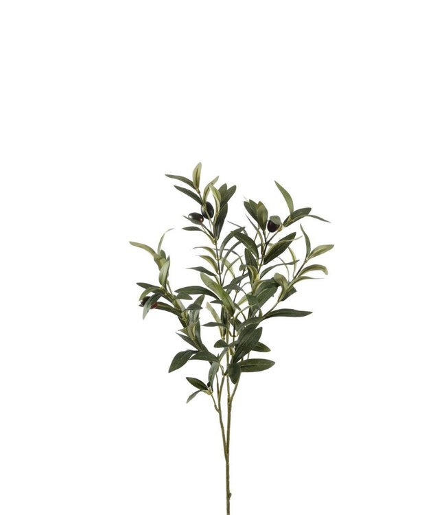 Kunstplanten Olea europaea 72cm | Per 4 stuks te bestellen