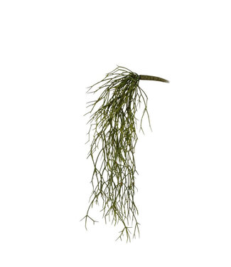 4A Kunstplanten Rhipsalis 64cm  | Per stuk