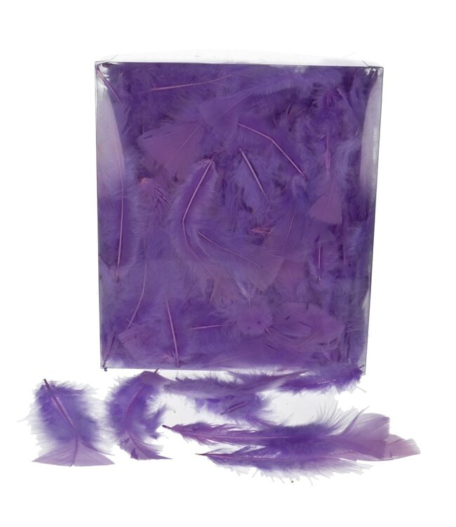 Purple feathers turkey feathers | Weight 45 grams | Per pack to order