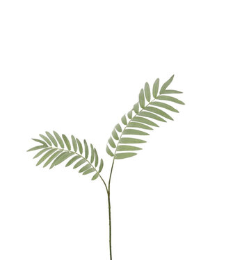 4A Kunstplanten Palm fern 82cm | Per 6 stuks